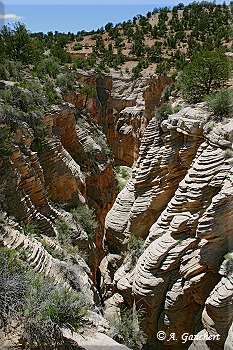 Blick in den Canyon